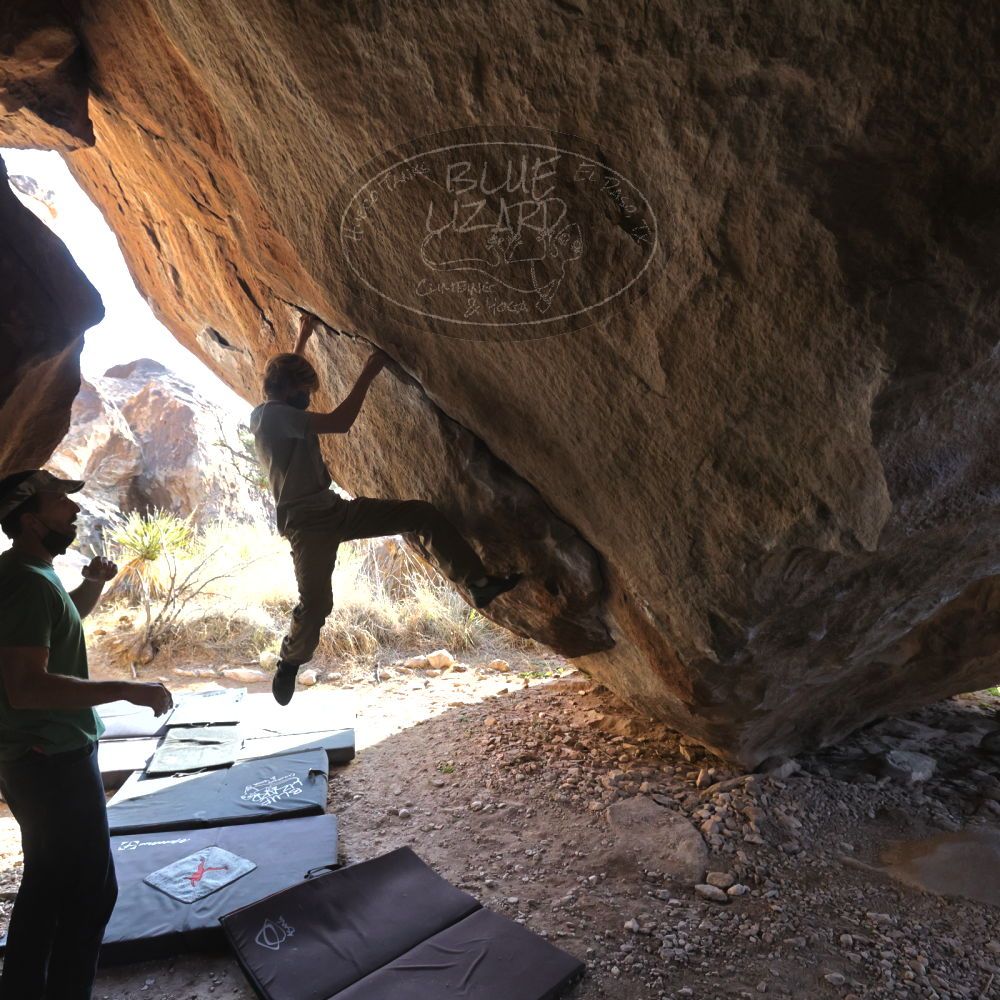 

Filename: SRM_20220106_1446221.jpg
Aperture: f/5.6
Shutter Speed: 1/500
Body: Canon EOS R6
Lens: Canon EF 16-35mm f/2.8 L