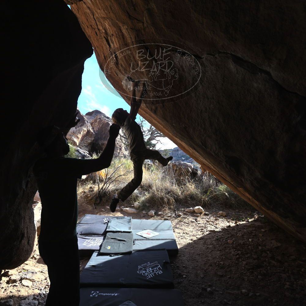 

Filename: SRM_20220106_1449500.jpg
Aperture: f/5.6
Shutter Speed: 1/500
Body: Canon EOS R6
Lens: Canon EF 16-35mm f/2.8 L