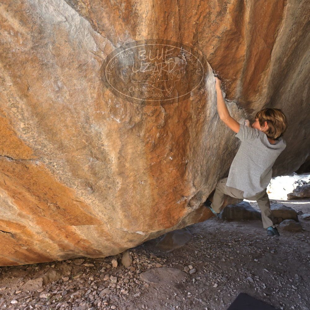 

Filename: SRM_20220106_1455161.jpg
Aperture: f/5.6
Shutter Speed: 1/500
Body: Canon EOS R6
Lens: Canon EF 16-35mm f/2.8 L