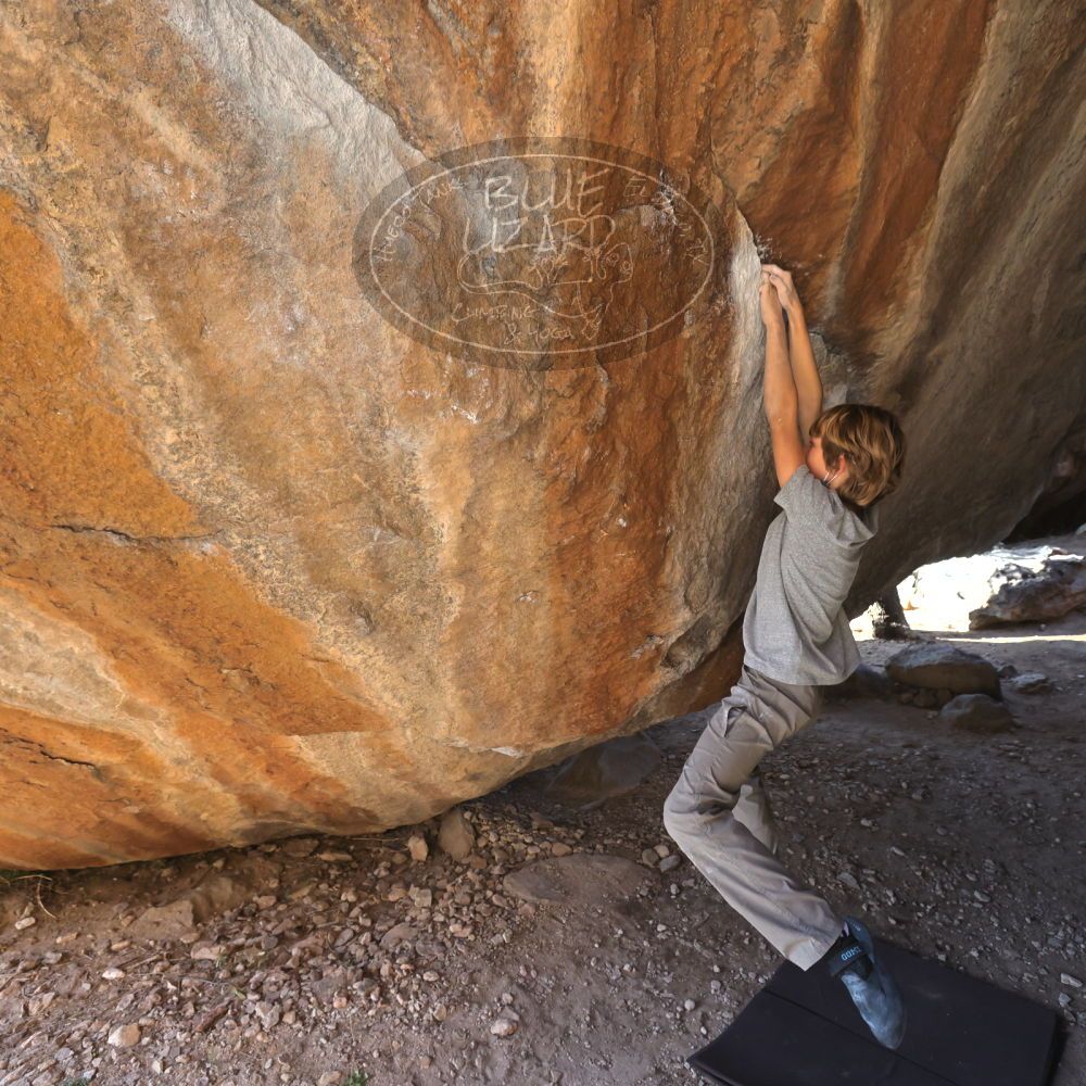 

Filename: SRM_20220106_1455200.jpg
Aperture: f/5.6
Shutter Speed: 1/500
Body: Canon EOS R6
Lens: Canon EF 16-35mm f/2.8 L