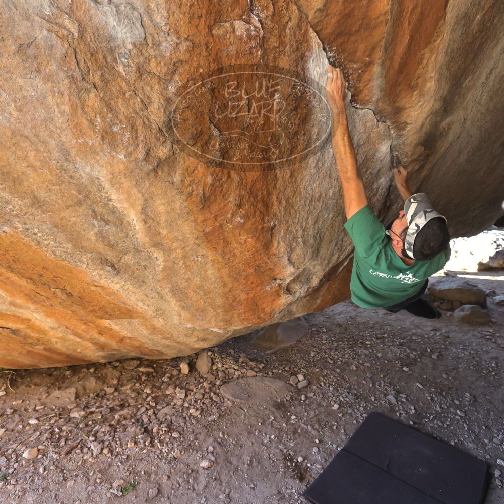 

Filename: SRM_20220106_1502050.jpg
Aperture: f/5.6
Shutter Speed: 1/500
Body: Canon EOS R6
Lens: Canon EF 16-35mm f/2.8 L