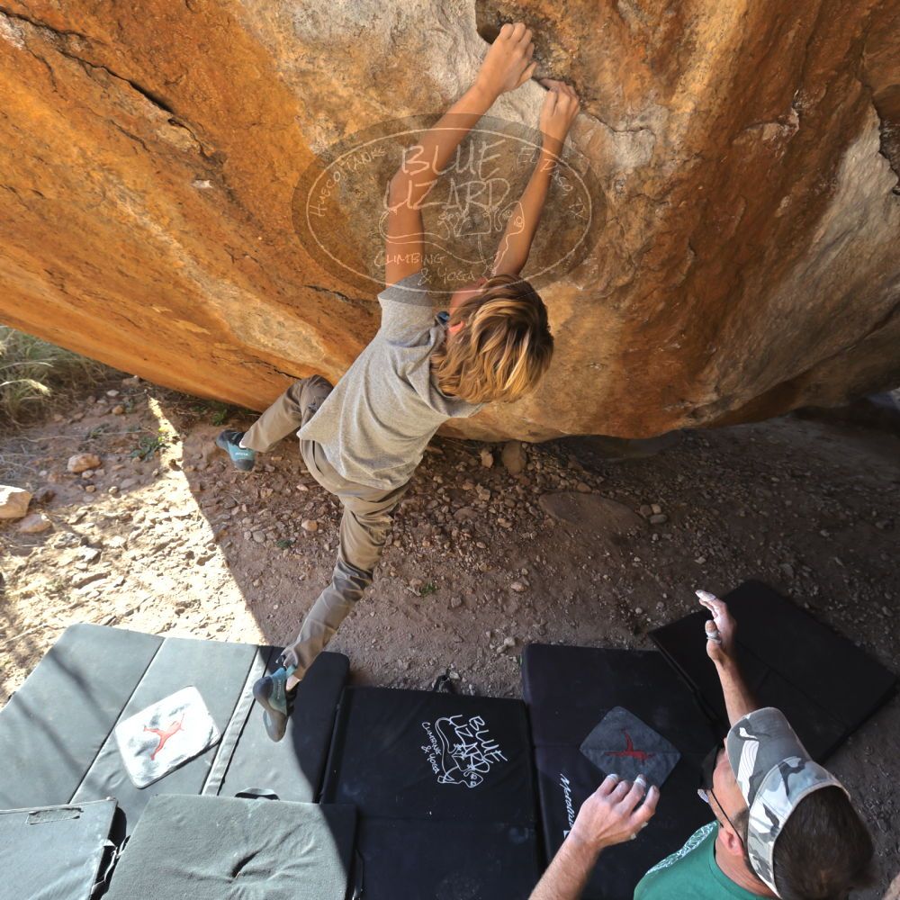 

Filename: SRM_20220106_1504276.jpg
Aperture: f/5.6
Shutter Speed: 1/500
Body: Canon EOS R6
Lens: Canon EF 16-35mm f/2.8 L