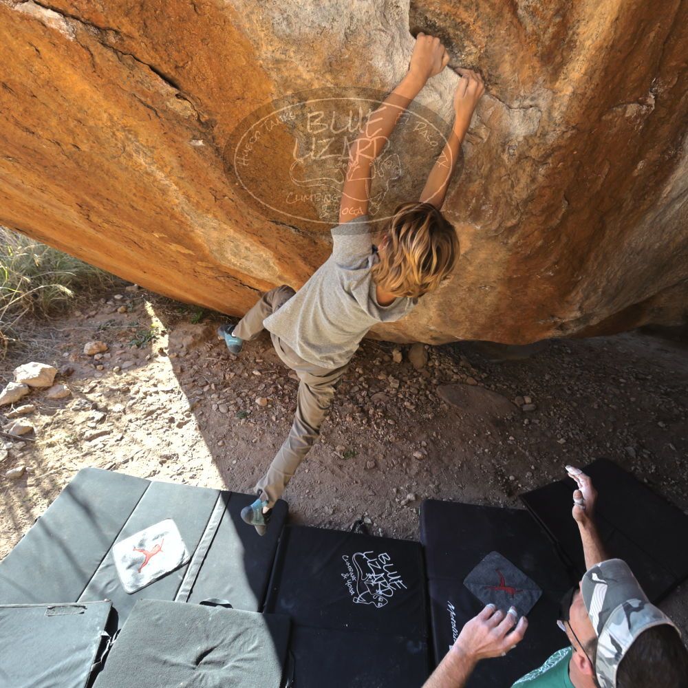 

Filename: SRM_20220106_1504280.jpg
Aperture: f/5.6
Shutter Speed: 1/500
Body: Canon EOS R6
Lens: Canon EF 16-35mm f/2.8 L