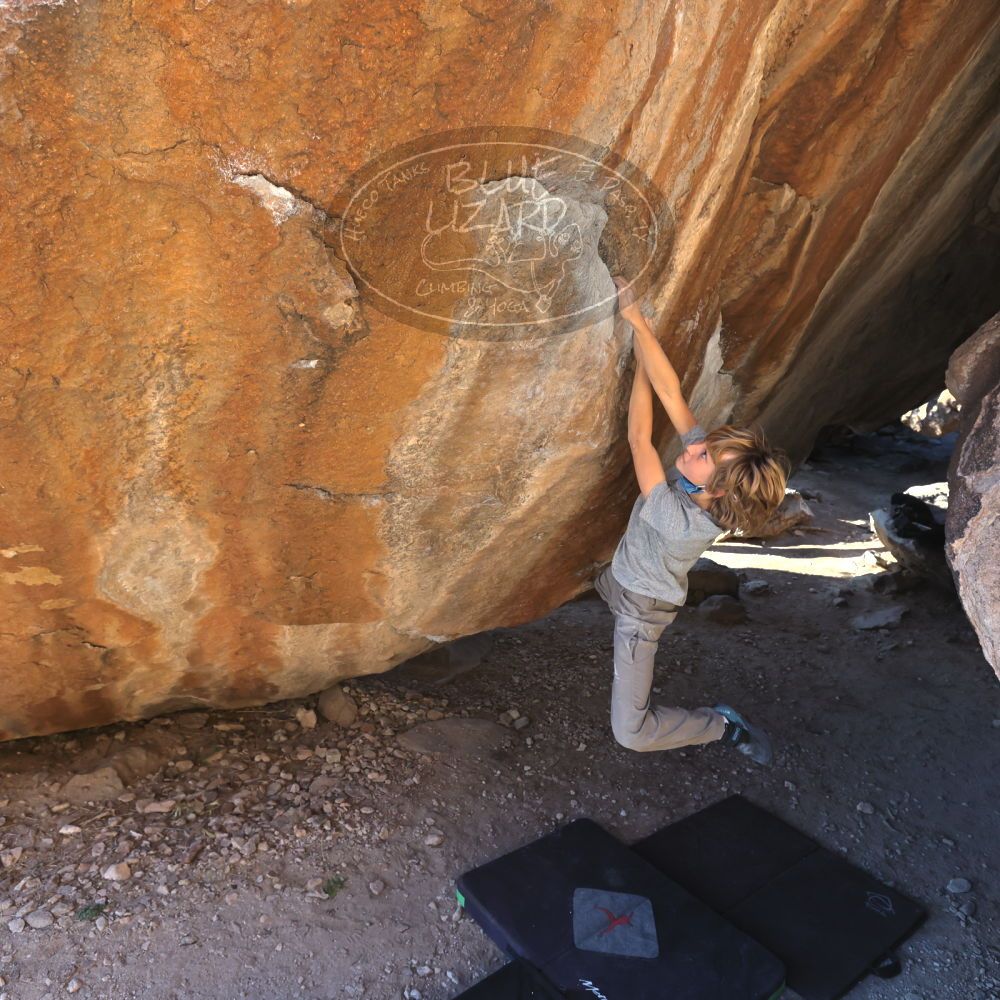 

Filename: SRM_20220106_1528080.jpg
Aperture: f/5.6
Shutter Speed: 1/500
Body: Canon EOS R6
Lens: Canon EF 16-35mm f/2.8 L