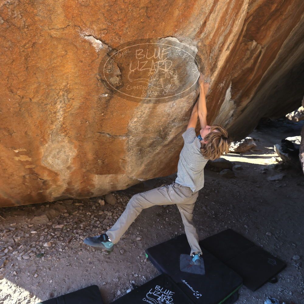 

Filename: SRM_20220106_1528091.jpg
Aperture: f/5.6
Shutter Speed: 1/500
Body: Canon EOS R6
Lens: Canon EF 16-35mm f/2.8 L