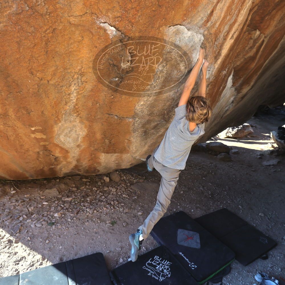 

Filename: SRM_20220106_1528094.jpg
Aperture: f/5.6
Shutter Speed: 1/500
Body: Canon EOS R6
Lens: Canon EF 16-35mm f/2.8 L