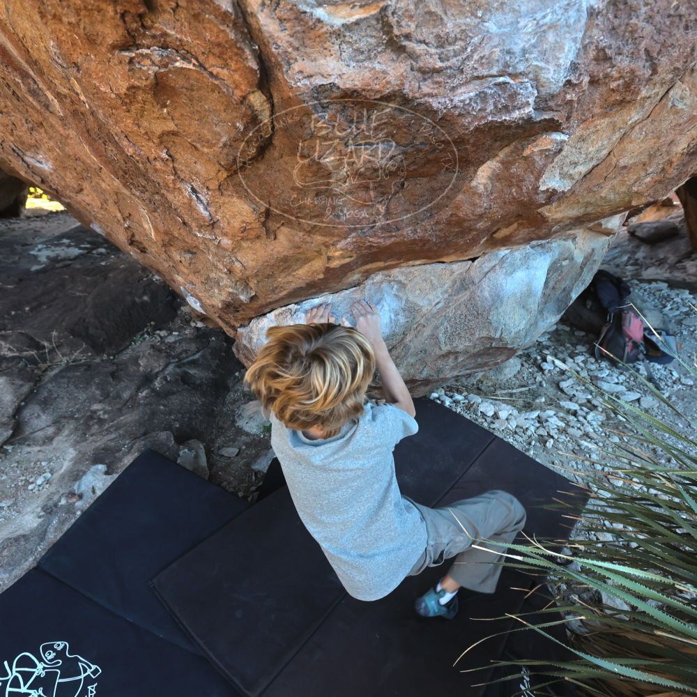 

Filename: SRM_20220106_1556381.jpg
Aperture: f/5.6
Shutter Speed: 1/500
Body: Canon EOS R6
Lens: Canon EF 16-35mm f/2.8 L