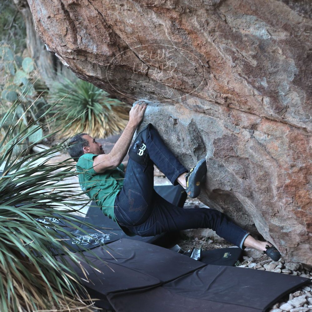 

Filename: SRM_20220106_1709210.jpg
Aperture: f/2.8
Shutter Speed: 1/500
Body: Canon EOS R6
Lens: Canon EF 50mm f/1.8 II