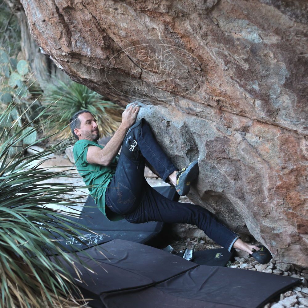 

Filename: SRM_20220106_1709220.jpg
Aperture: f/2.8
Shutter Speed: 1/500
Body: Canon EOS R6
Lens: Canon EF 50mm f/1.8 II