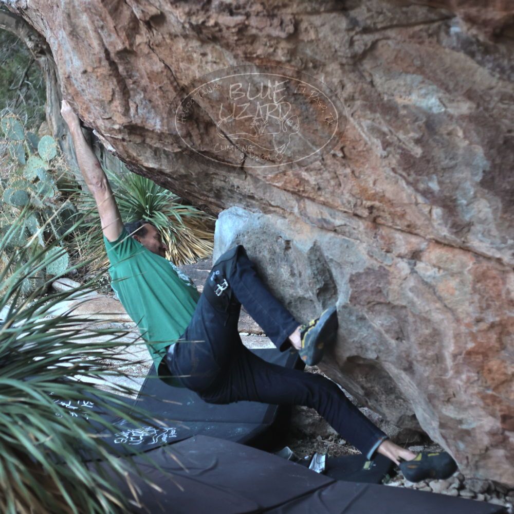 

Filename: SRM_20220106_1709260.jpg
Aperture: f/2.8
Shutter Speed: 1/500
Body: Canon EOS R6
Lens: Canon EF 50mm f/1.8 II