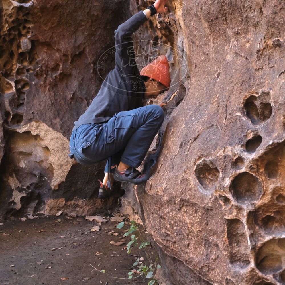 

Filename: SRM_20220107_1036330.jpg
Aperture: f/5.6
Shutter Speed: 1/200
Body: Canon EOS R6
Lens: Canon EF 50mm f/1.8 II