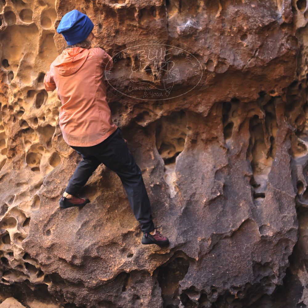 

Filename: SRM_20220107_1038040.jpg
Aperture: f/2.8
Shutter Speed: 1/250
Body: Canon EOS R6
Lens: Canon EF 50mm f/1.8 II