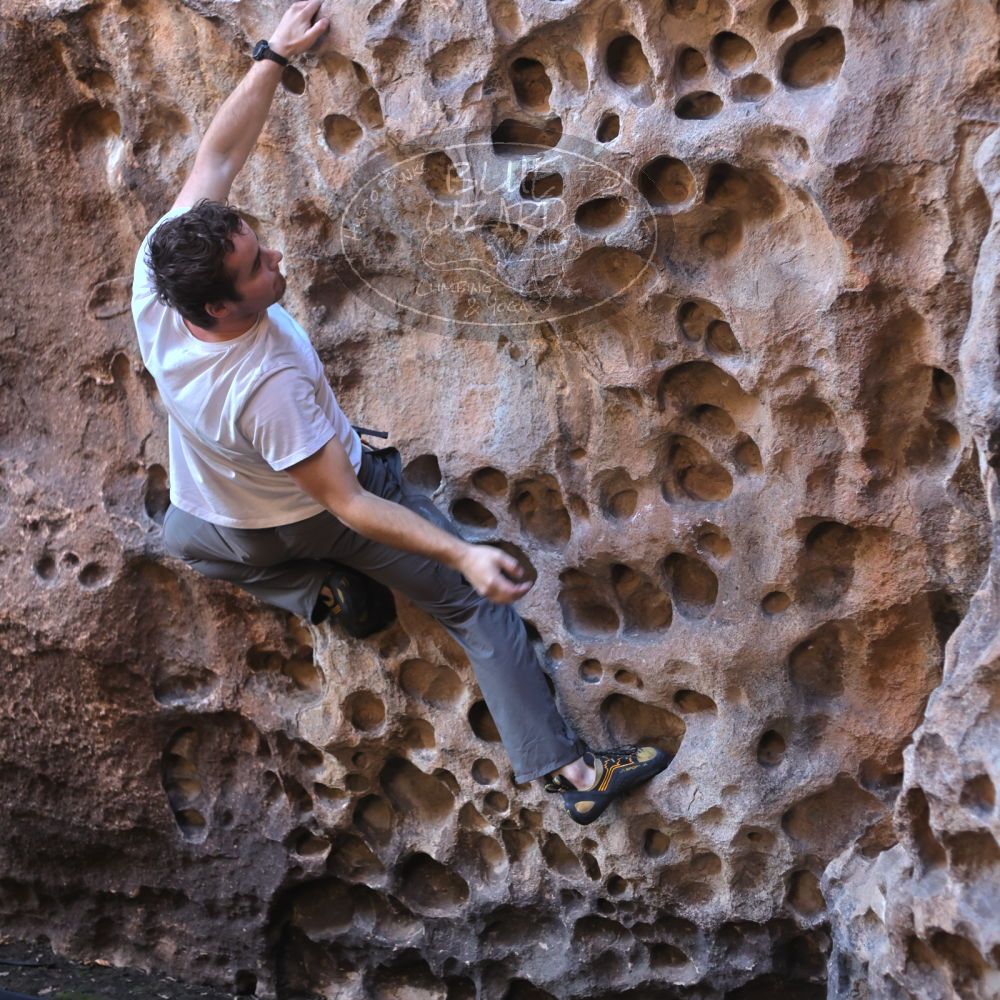 

Filename: SRM_20220107_1038310.jpg
Aperture: f/2.8
Shutter Speed: 1/250
Body: Canon EOS R6
Lens: Canon EF 50mm f/1.8 II