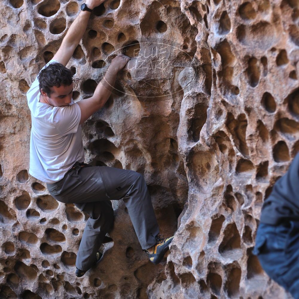 

Filename: SRM_20220107_1038370.jpg
Aperture: f/2.8
Shutter Speed: 1/250
Body: Canon EOS R6
Lens: Canon EF 50mm f/1.8 II