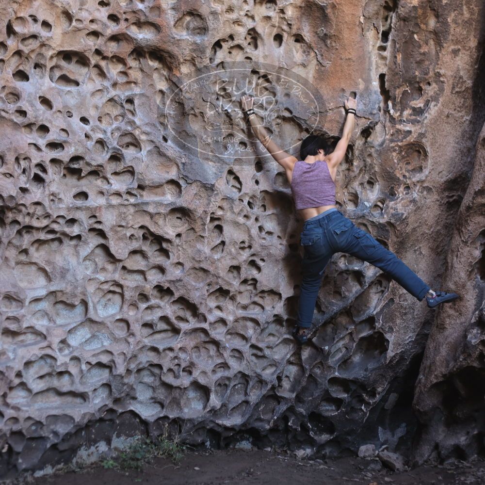 

Filename: SRM_20220107_1047560.jpg
Aperture: f/2.8
Shutter Speed: 1/250
Body: Canon EOS R6
Lens: Canon EF 50mm f/1.8 II