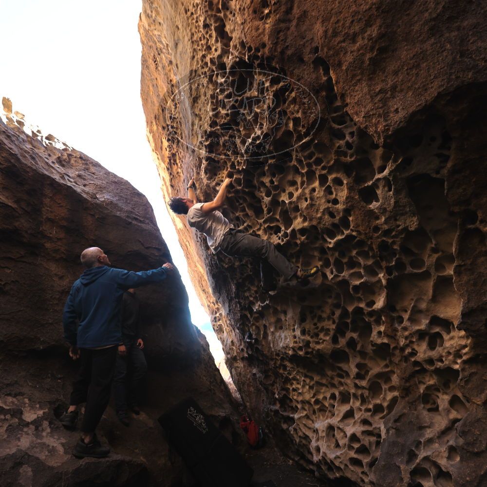 

Filename: SRM_20220107_1059210.jpg
Aperture: f/5.6
Shutter Speed: 1/250
Body: Canon EOS R6
Lens: Canon EF 16-35mm f/2.8 L