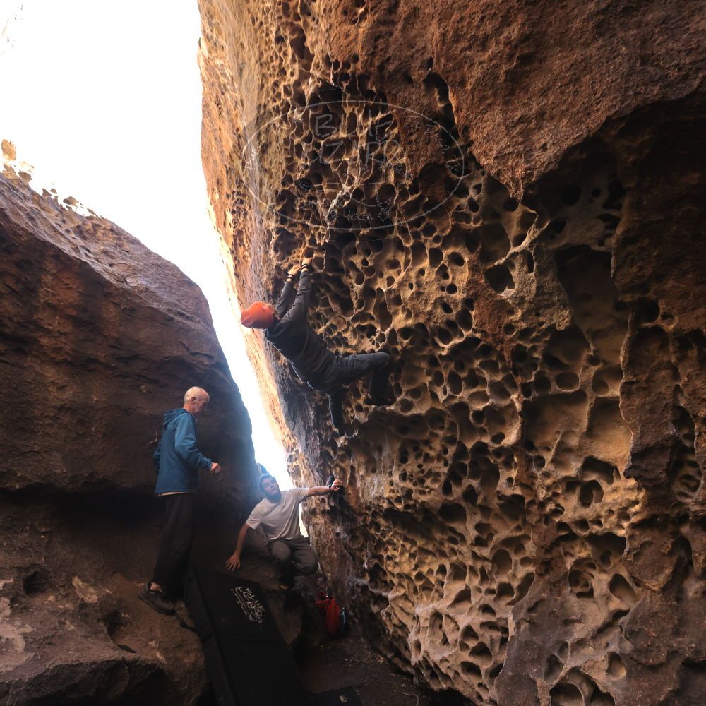 

Filename: SRM_20220107_1100580.jpg
Aperture: f/5.6
Shutter Speed: 1/250
Body: Canon EOS R6
Lens: Canon EF 16-35mm f/2.8 L