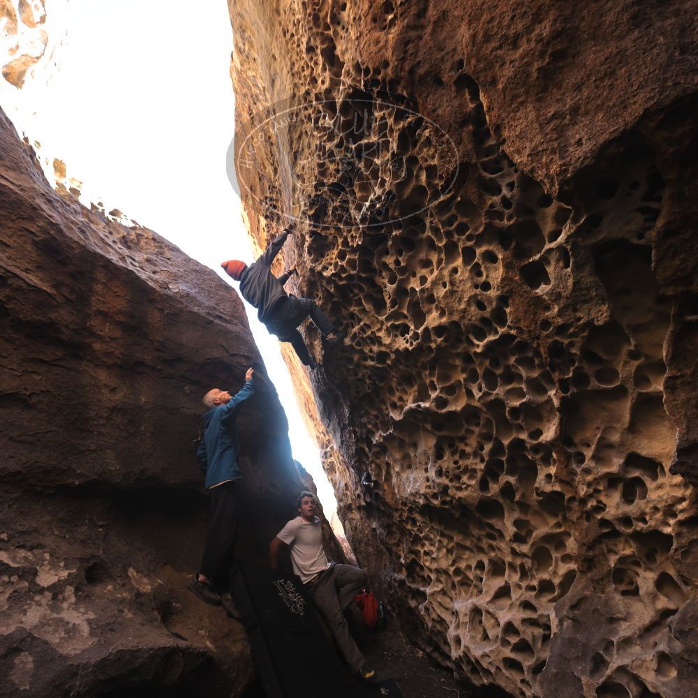 

Filename: SRM_20220107_1101070.jpg
Aperture: f/5.6
Shutter Speed: 1/250
Body: Canon EOS R6
Lens: Canon EF 16-35mm f/2.8 L