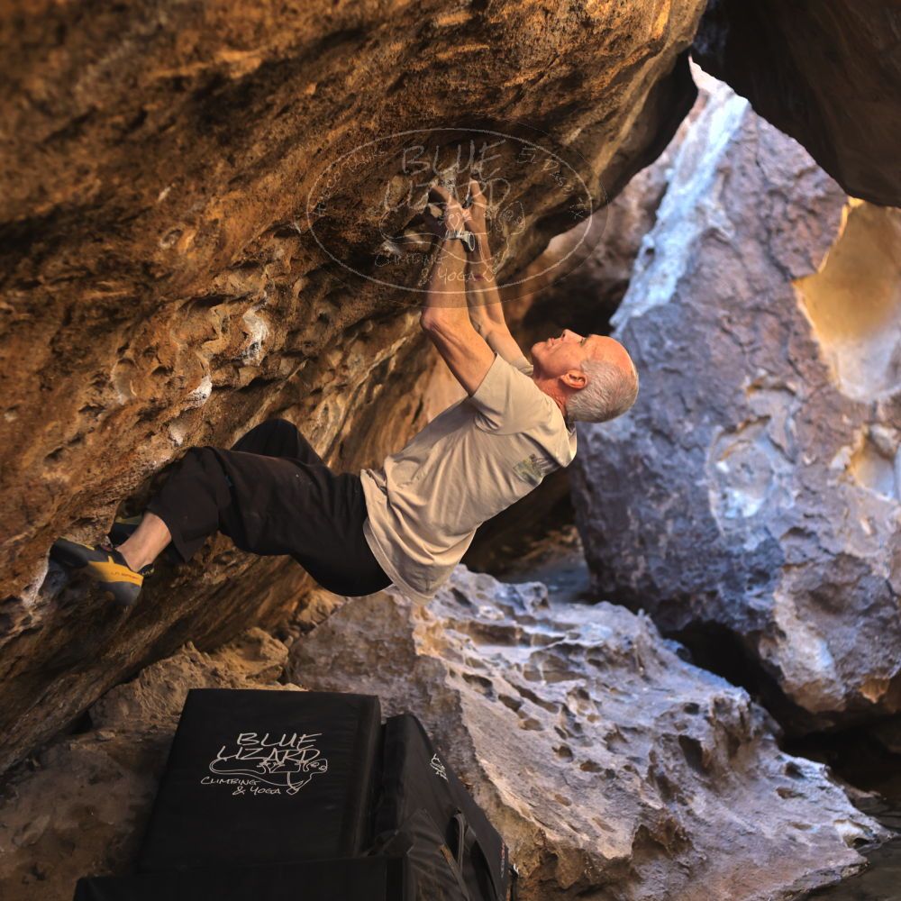 

Filename: SRM_20220107_1201080.jpg
Aperture: f/2.8
Shutter Speed: 1/250
Body: Canon EOS R6
Lens: Canon EF 50mm f/1.8 II