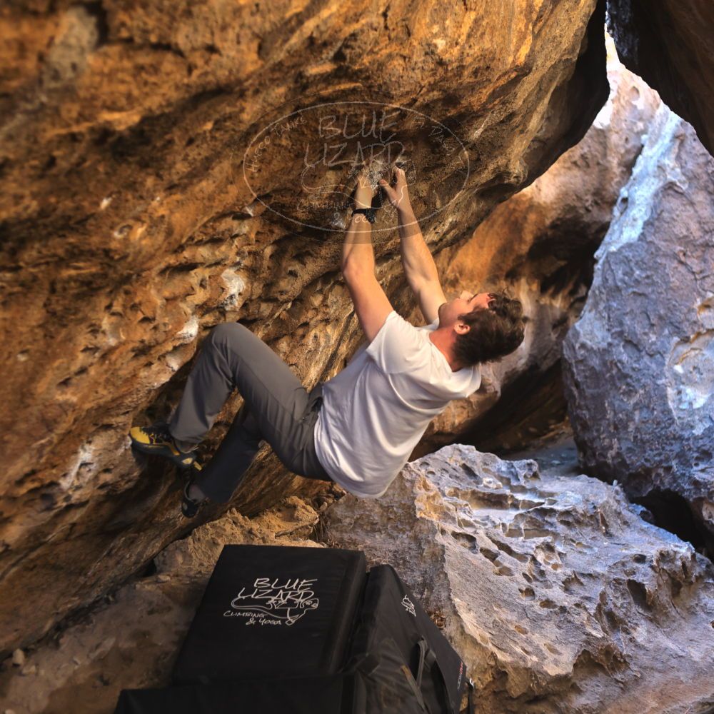 

Filename: SRM_20220107_1202140.jpg
Aperture: f/2.8
Shutter Speed: 1/250
Body: Canon EOS R6
Lens: Canon EF 50mm f/1.8 II