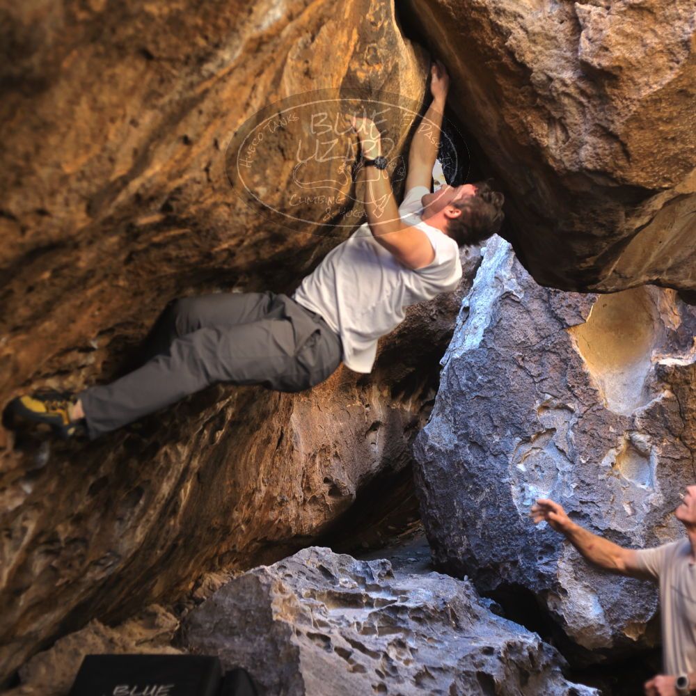 

Filename: SRM_20220107_1202220.jpg
Aperture: f/2.8
Shutter Speed: 1/250
Body: Canon EOS R6
Lens: Canon EF 50mm f/1.8 II