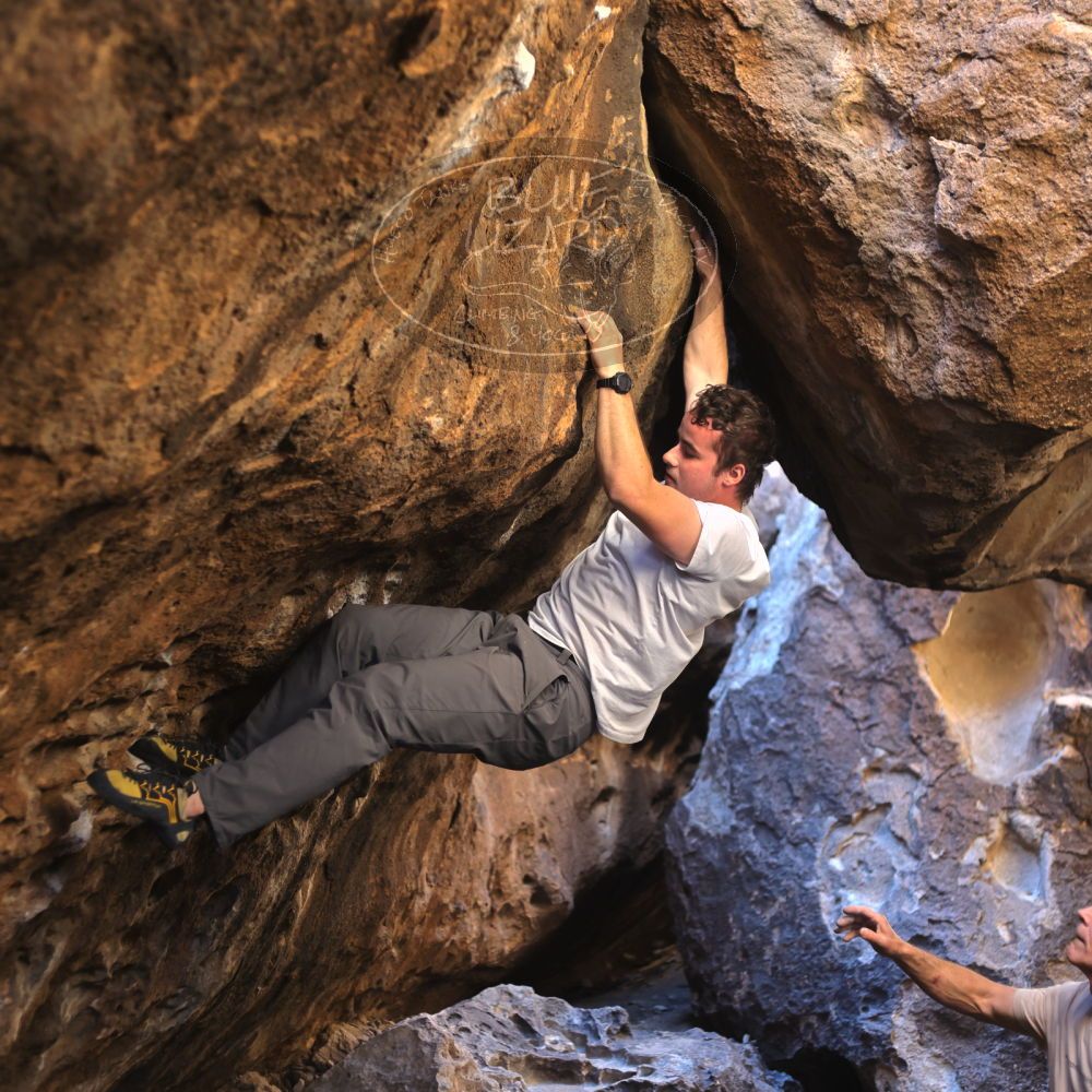 

Filename: SRM_20220107_1202240.jpg
Aperture: f/2.8
Shutter Speed: 1/250
Body: Canon EOS R6
Lens: Canon EF 50mm f/1.8 II