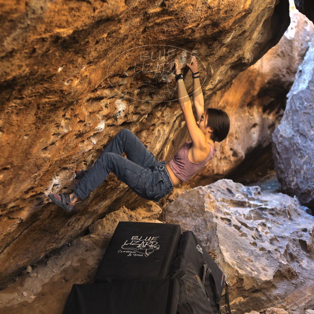 

Filename: SRM_20220107_1204170.jpg
Aperture: f/2.8
Shutter Speed: 1/250
Body: Canon EOS R6
Lens: Canon EF 50mm f/1.8 II