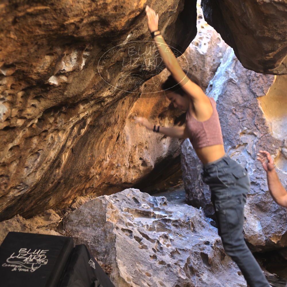 

Filename: SRM_20220107_1206150.jpg
Aperture: f/2.8
Shutter Speed: 1/250
Body: Canon EOS R6
Lens: Canon EF 50mm f/1.8 II