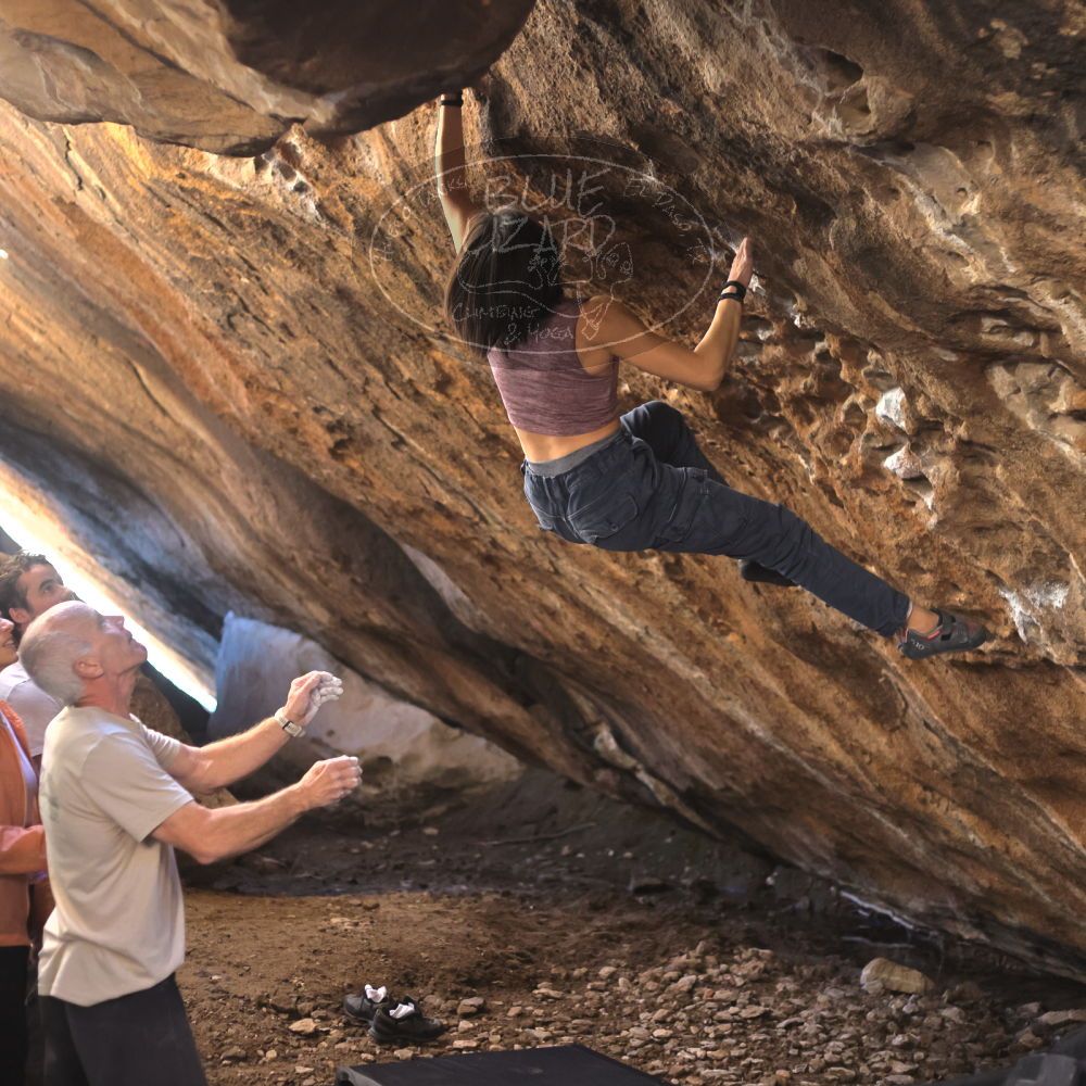 

Filename: SRM_20220107_1210581.jpg
Aperture: f/2.8
Shutter Speed: 1/400
Body: Canon EOS R6
Lens: Canon EF 50mm f/1.8 II