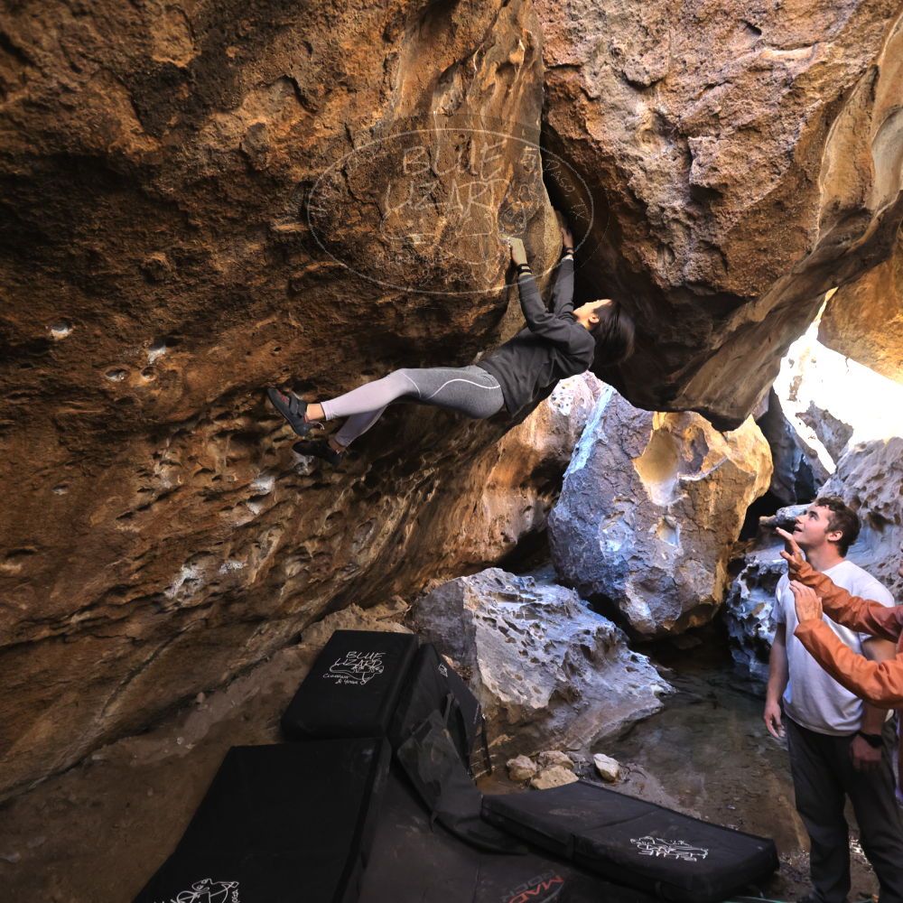 

Filename: SRM_20220107_1220270.jpg
Aperture: f/3.2
Shutter Speed: 1/500
Body: Canon EOS R6
Lens: Canon EF 16-35mm f/2.8 L