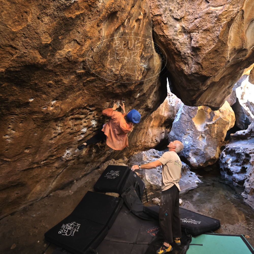 

Filename: SRM_20220107_1225260.jpg
Aperture: f/3.2
Shutter Speed: 1/500
Body: Canon EOS R6
Lens: Canon EF 16-35mm f/2.8 L