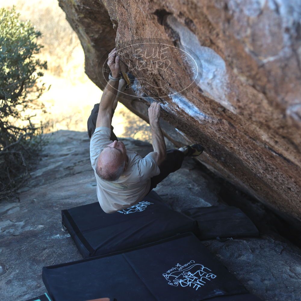 

Filename: SRM_20220107_1327470.jpg
Aperture: f/2.8
Shutter Speed: 1/250
Body: Canon EOS R6
Lens: Canon EF 50mm f/1.8 II