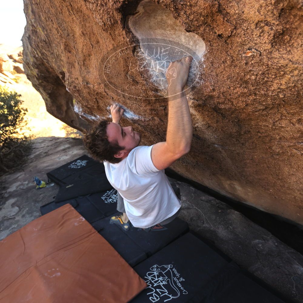 

Filename: SRM_20220107_1357252.jpg
Aperture: f/5.6
Shutter Speed: 1/250
Body: Canon EOS R6
Lens: Canon EF 16-35mm f/2.8 L