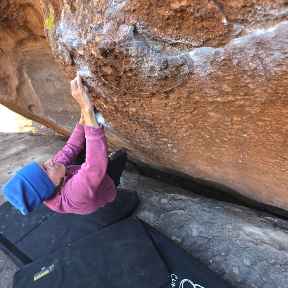 

Filename: SRM_20220107_1406000.jpg
Aperture: f/5.6
Shutter Speed: 1/250
Body: Canon EOS R6
Lens: Canon EF 16-35mm f/2.8 L