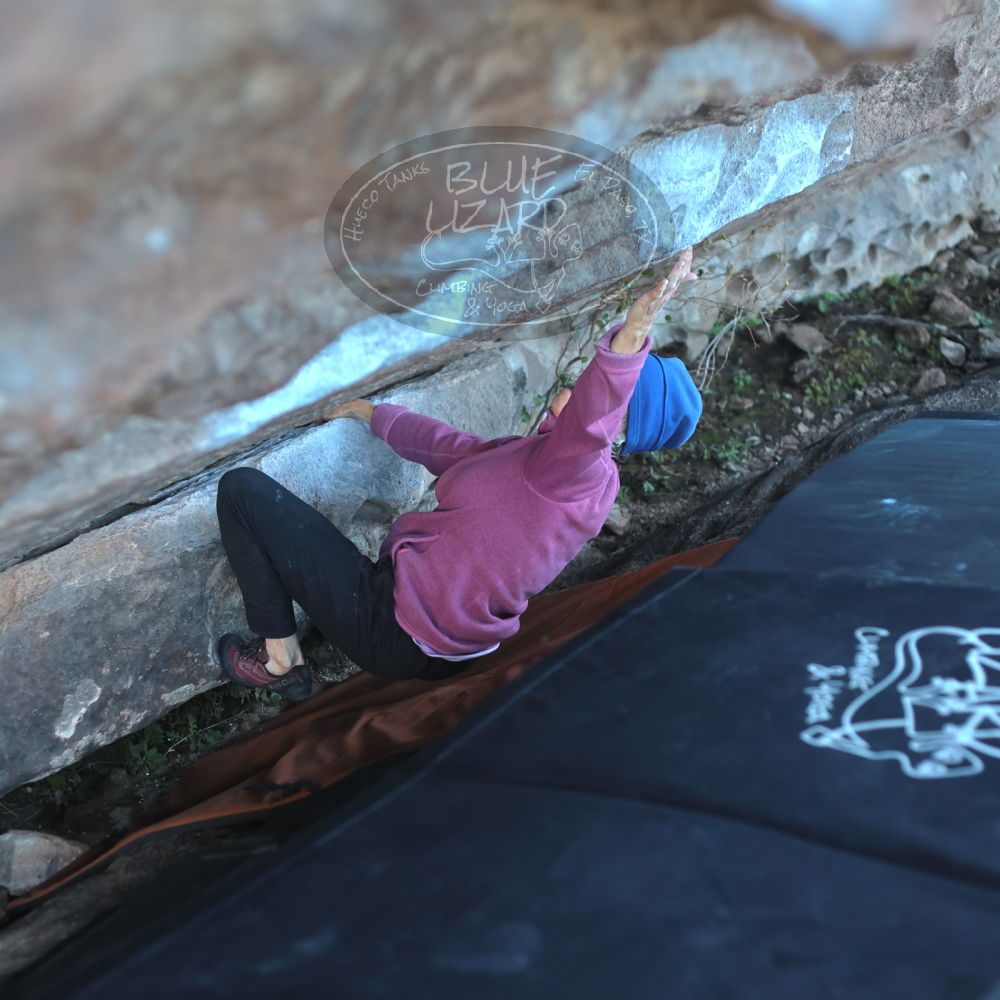 

Filename: SRM_20220107_1553530.jpg
Aperture: f/2.8
Shutter Speed: 1/400
Body: Canon EOS R6
Lens: Canon EF 50mm f/1.8 II