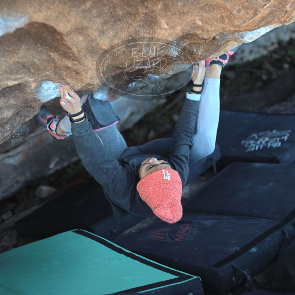 

Filename: SRM_20220107_1600140.jpg
Aperture: f/2.2
Shutter Speed: 1/400
Body: Canon EOS R6
Lens: Canon EF 50mm f/1.8 II