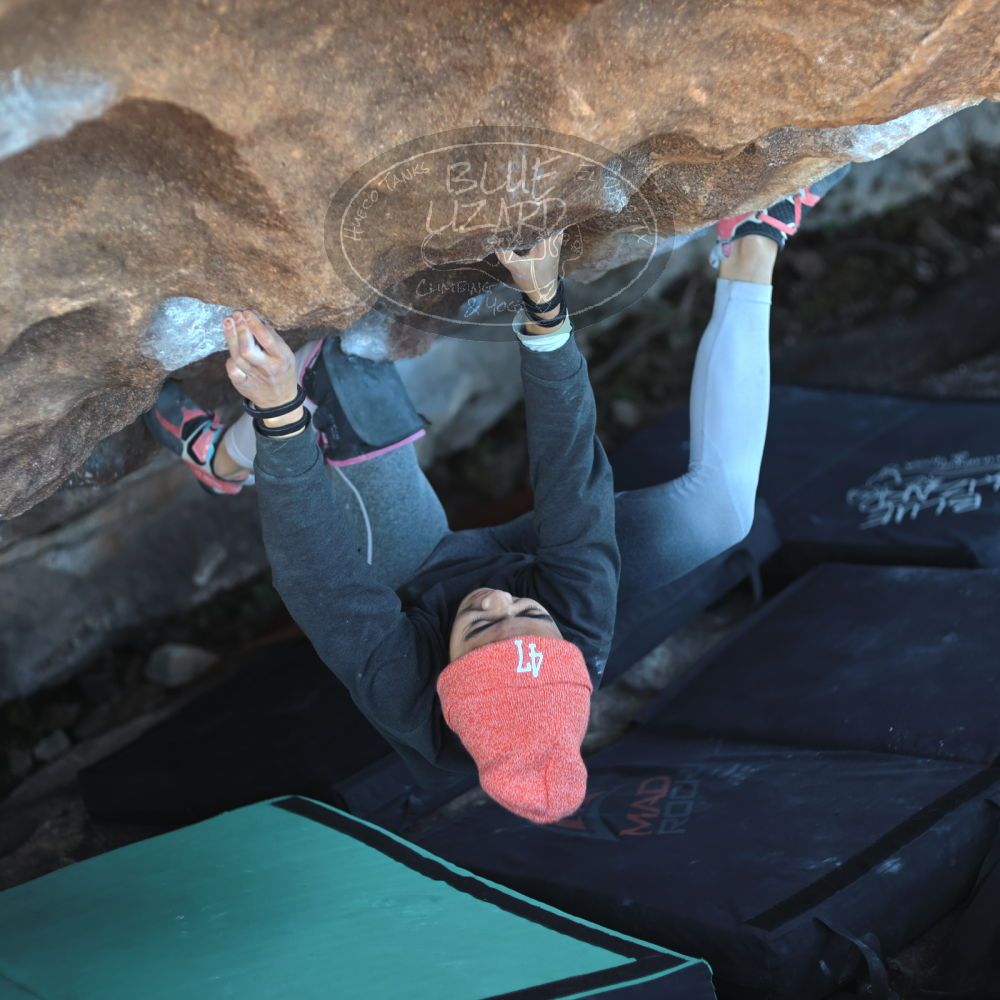 

Filename: SRM_20220107_1600141.jpg
Aperture: f/2.2
Shutter Speed: 1/400
Body: Canon EOS R6
Lens: Canon EF 50mm f/1.8 II