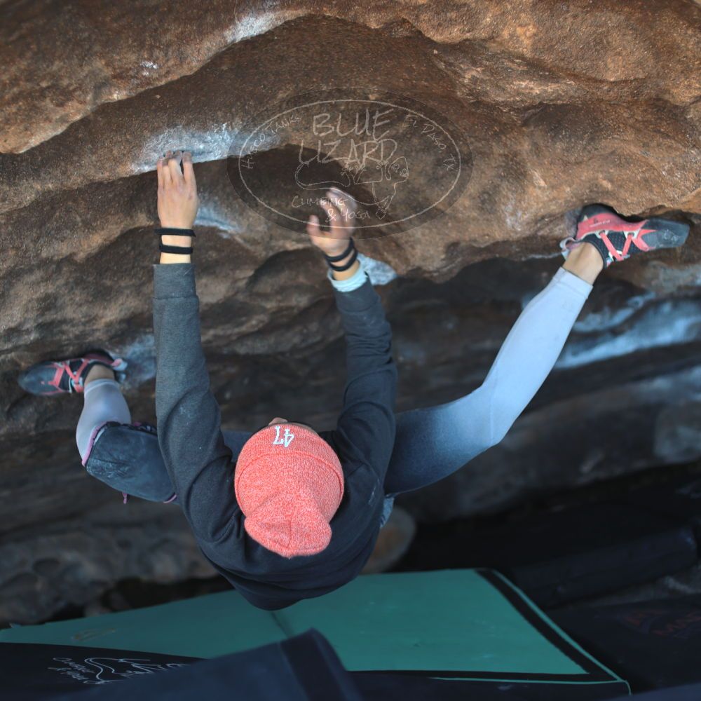 

Filename: SRM_20220107_1603490.jpg
Aperture: f/2.2
Shutter Speed: 1/400
Body: Canon EOS R6
Lens: Canon EF 50mm f/1.8 II