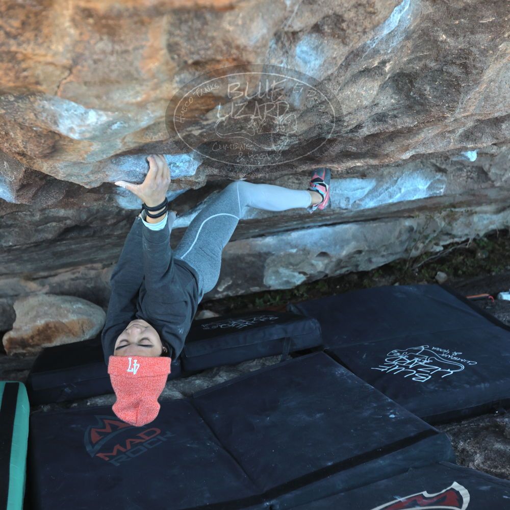 

Filename: SRM_20220107_1623170.jpg
Aperture: f/4.0
Shutter Speed: 1/400
Body: Canon EOS R6
Lens: Canon EF 16-35mm f/2.8 L