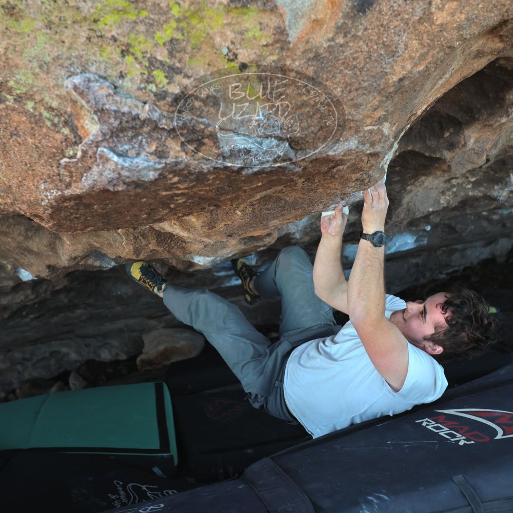 

Filename: SRM_20220107_1636330.jpg
Aperture: f/4.0
Shutter Speed: 1/400
Body: Canon EOS R6
Lens: Canon EF 16-35mm f/2.8 L