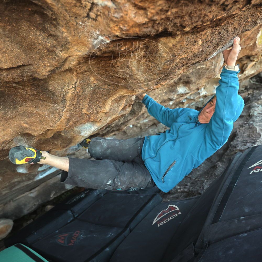 

Filename: SRM_20220107_1702170.jpg
Aperture: f/4.0
Shutter Speed: 1/400
Body: Canon EOS R6
Lens: Canon EF 16-35mm f/2.8 L