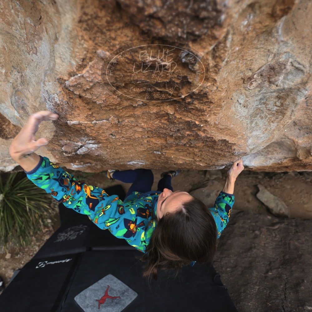 

Filename: SRM_20220109_1151300.jpg
Aperture: f/2.8
Shutter Speed: 1/500
Body: Canon EOS R6
Lens: Canon EF 16-35mm f/2.8 L