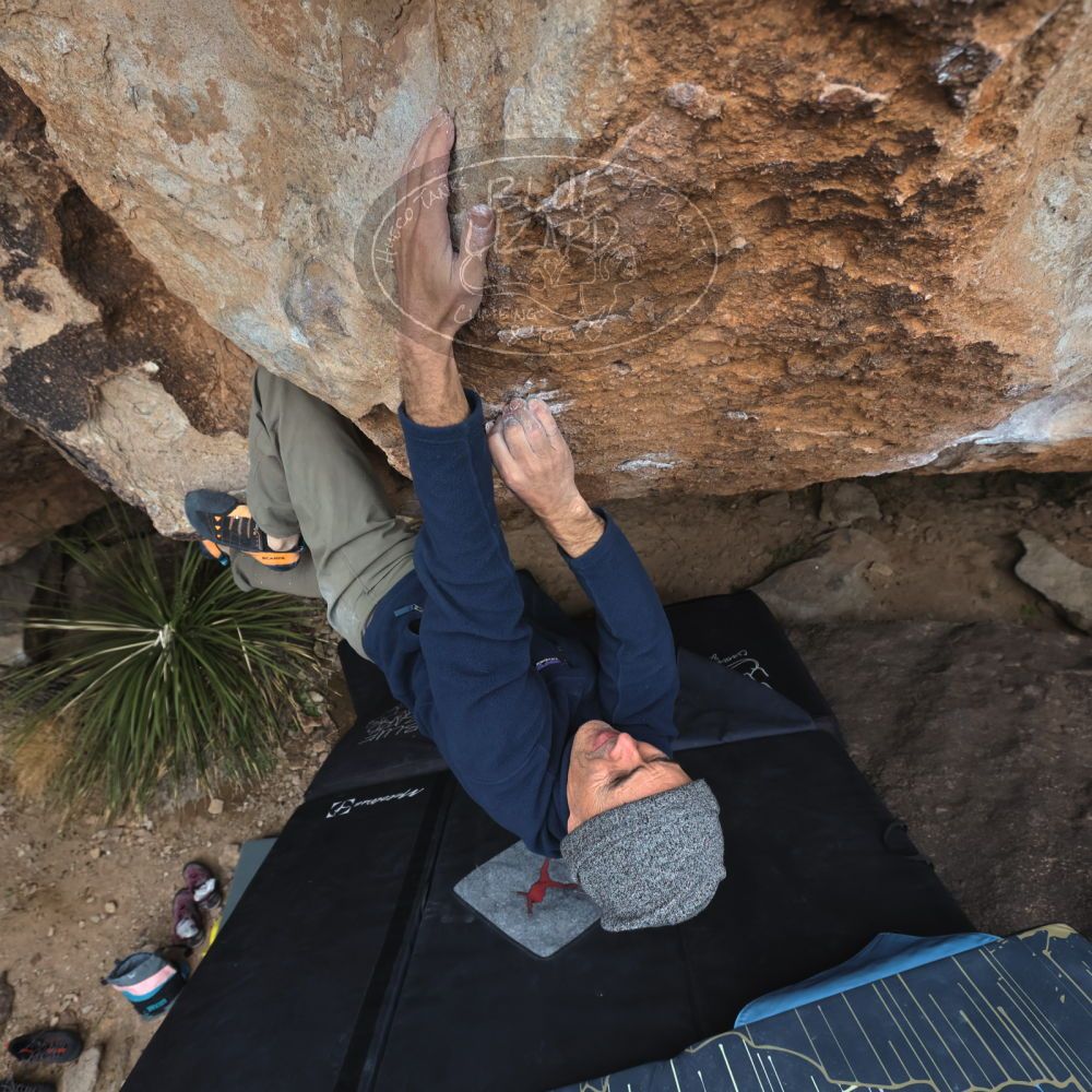 

Filename: SRM_20220109_1158551.jpg
Aperture: f/5.6
Shutter Speed: 1/500
Body: Canon EOS R6
Lens: Canon EF 16-35mm f/2.8 L