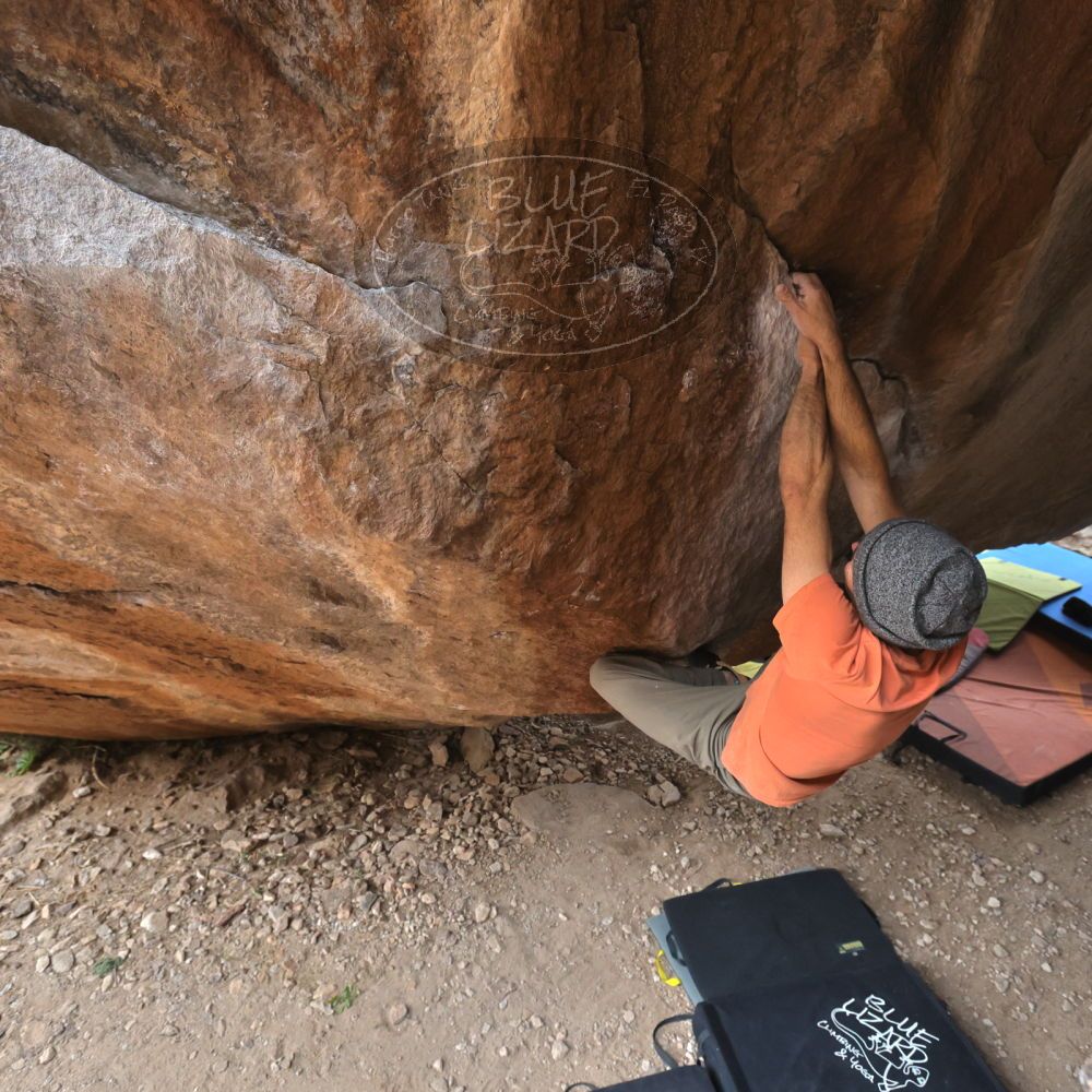 

Filename: SRM_20220109_1227520.jpg
Aperture: f/5.6
Shutter Speed: 1/500
Body: Canon EOS R6
Lens: Canon EF 16-35mm f/2.8 L