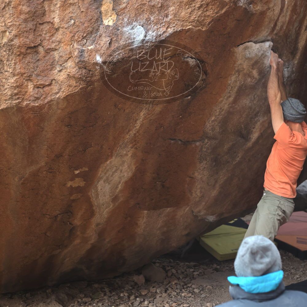 

Filename: SRM_20220109_1314070.jpg
Aperture: f/3.2
Shutter Speed: 1/500
Body: Canon EOS R6
Lens: Canon EF 50mm f/1.8 II