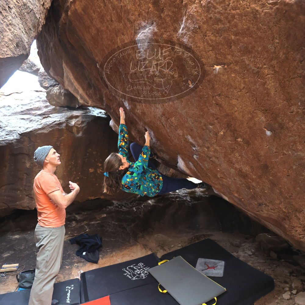 

Filename: SRM_20220109_1428010.jpg
Aperture: f/4.0
Shutter Speed: 1/500
Body: Canon EOS R6
Lens: Canon EF 16-35mm f/2.8 L