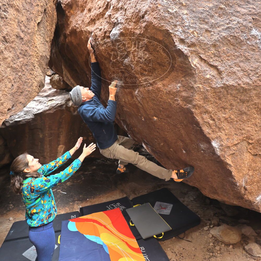 

Filename: SRM_20220109_1435260.jpg
Aperture: f/4.0
Shutter Speed: 1/250
Body: Canon EOS R6
Lens: Canon EF 16-35mm f/2.8 L