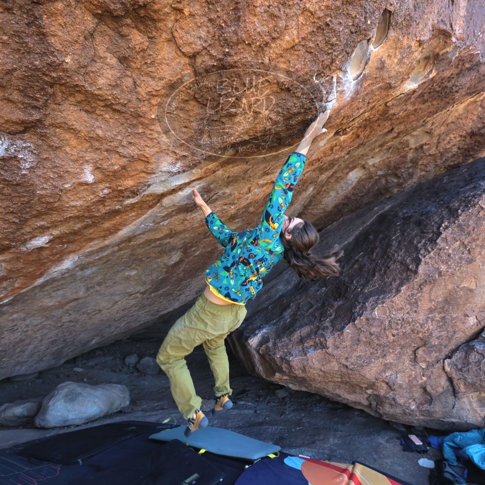 

Filename: SRM_20220113_1157030.jpg
Aperture: f/5.0
Shutter Speed: 1/400
Body: Canon EOS R6
Lens: Canon EF 16-35mm f/2.8 L