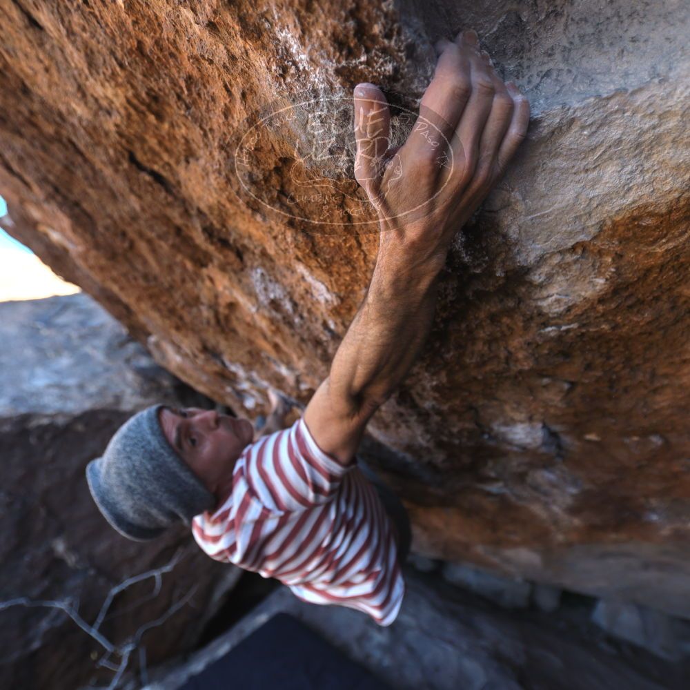 

Filename: SRM_20220113_1242540.jpg
Aperture: f/2.8
Shutter Speed: 1/400
Body: Canon EOS R6
Lens: Canon EF 16-35mm f/2.8 L