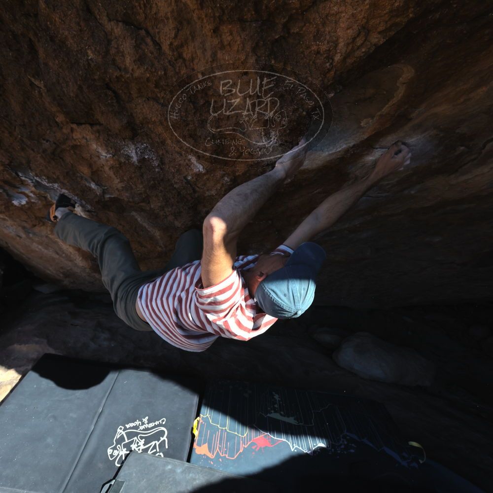 

Filename: SRM_20220113_1417350.jpg
Aperture: f/8.0
Shutter Speed: 1/1000
Body: Canon EOS R6
Lens: Canon EF 16-35mm f/2.8 L